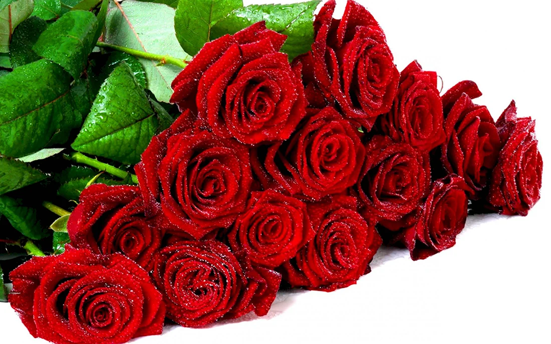 Букет красных роз. Открытка с днем рождения