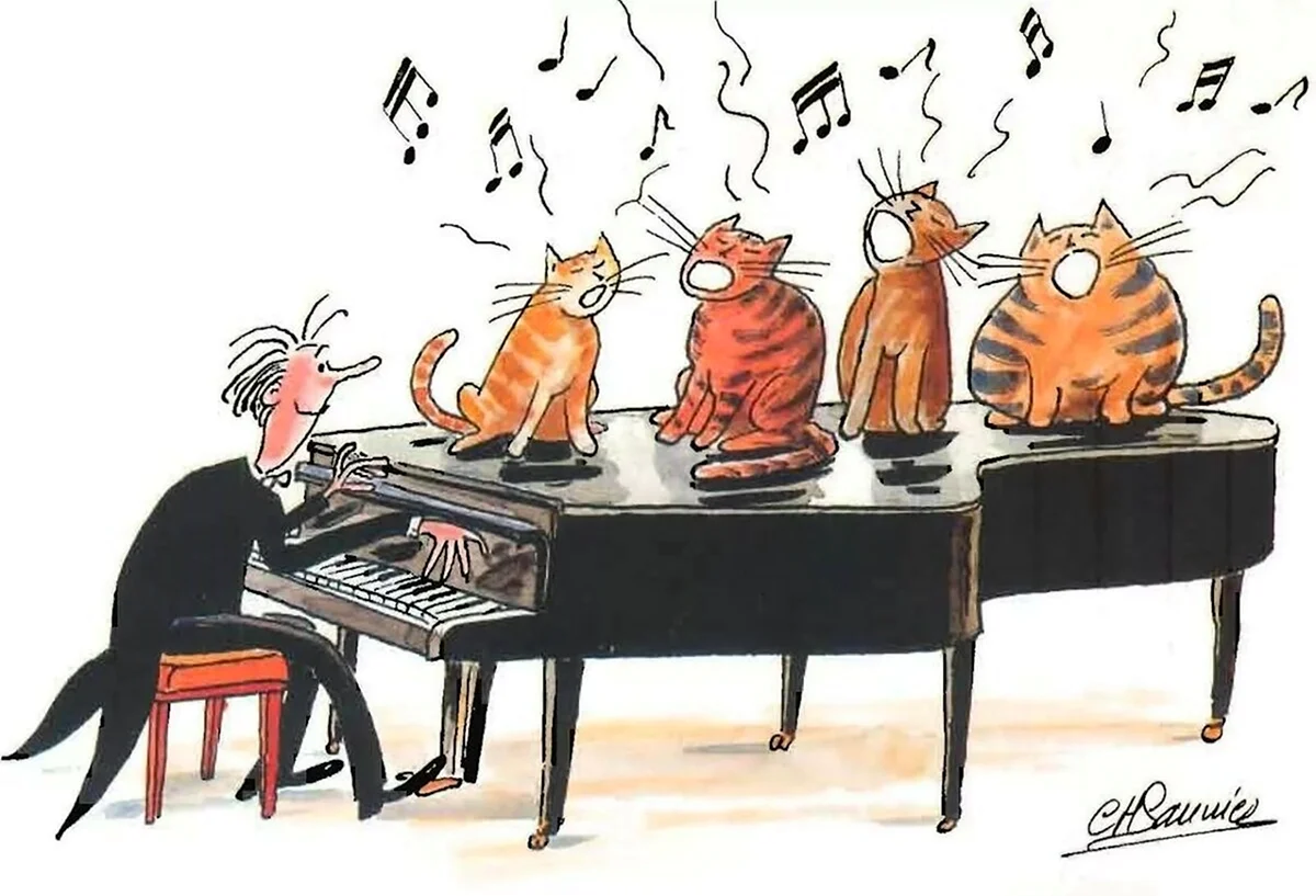 Коты музыканты. Красивая картинка