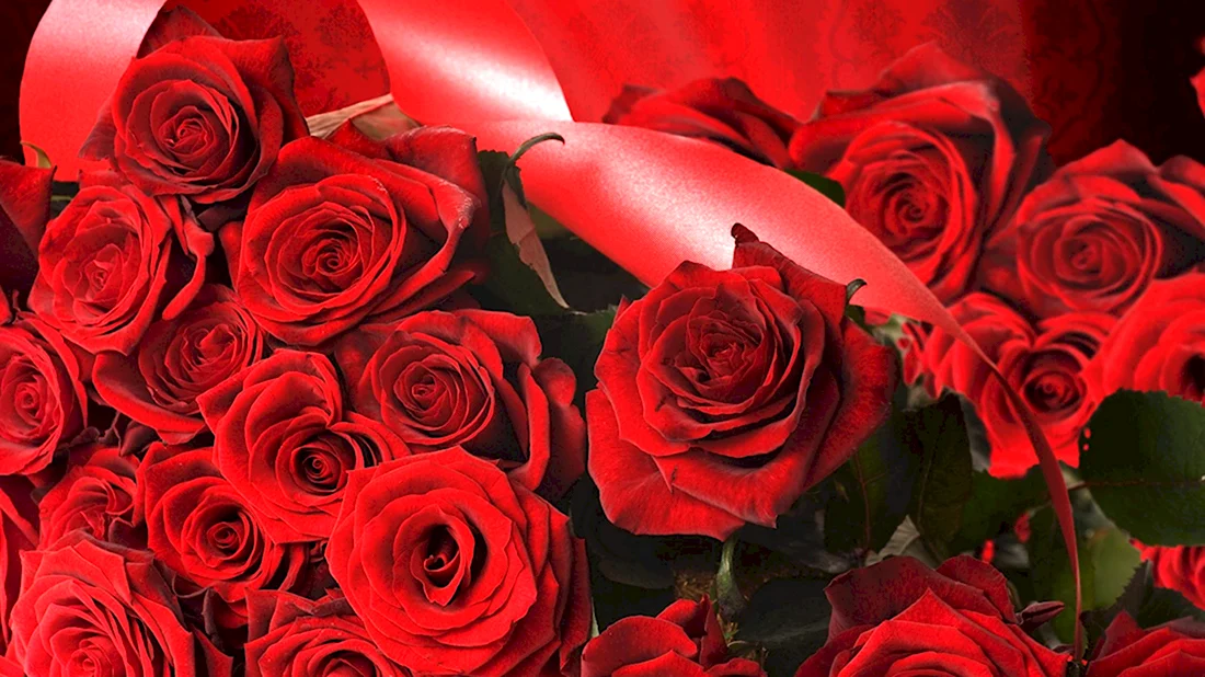 Красные розы. Открытка с днем рождения