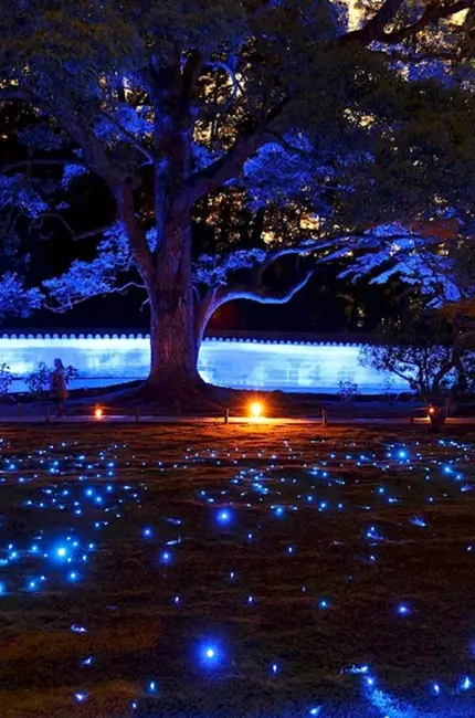 Ночной Киото. Красивая картинка