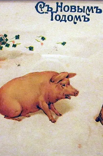 Открытки с изображением свиней. Открытка на праздник