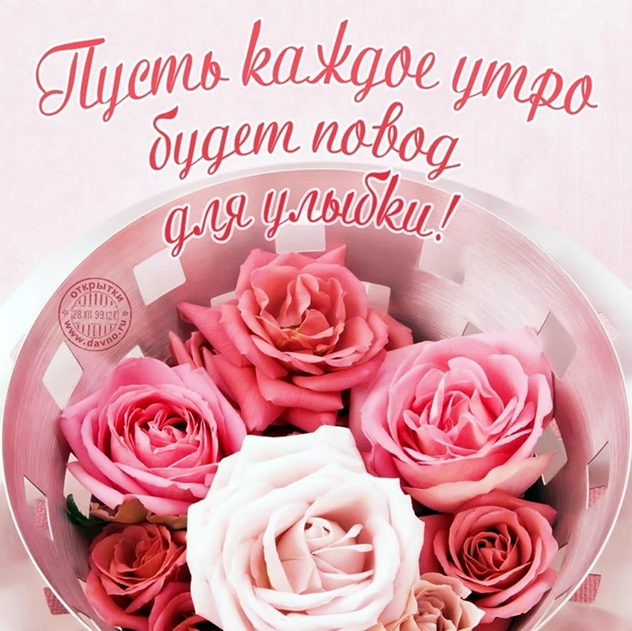 Розы с пожеланиями доброго утра и хорошего дня. Открытка с добрым утром