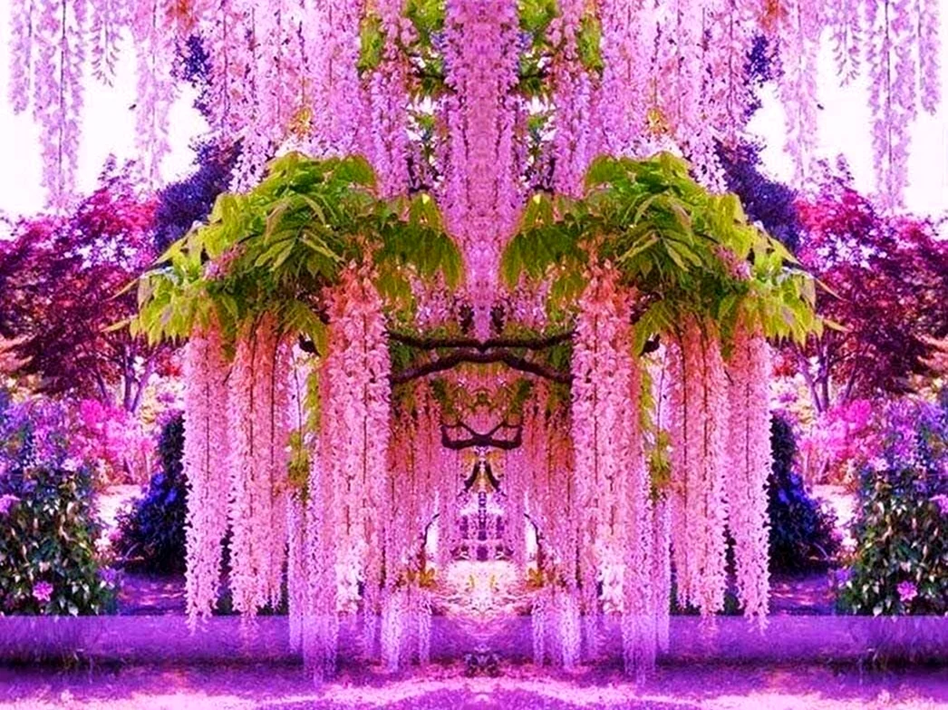 Сад Кавати Фудзи. Красивая картинка