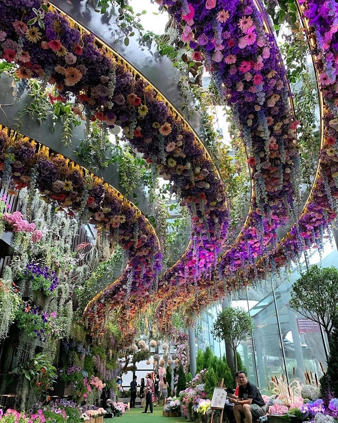 Сингапур оранжерея Flower Dome.. Красивая картинка