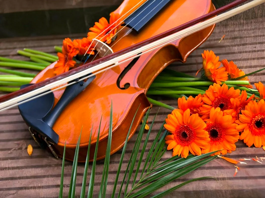 Скрипка с цветами. Красивая картинка